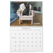 2026 Love & Hisses Calendar - the pink Adirondack Kalender (Mar 2026)