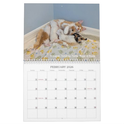 2026 Love & Hisses Calendar - the Pops Kalender (Feb 2026)