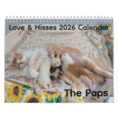 2026 Love & Hisses Calendar - the Pops Kalender (Hoes)