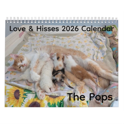 2026 Love & Hisses Calendar - the Pops Kalender (Hoes)