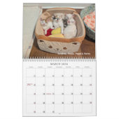 2026 Love & Hisses Calendar - the Pops Kalender (Mar 2026)
