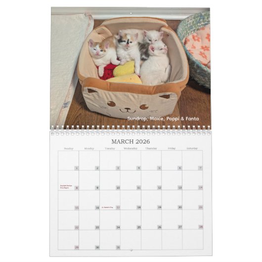 2026 Love & Hisses Calendar - the Pops Kalender (Mar 2026)