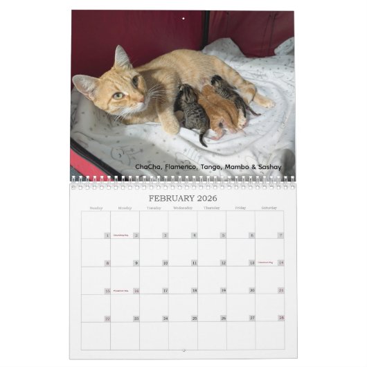 2026 Love & Hisses Calendar - The Tiny Dancers Kalender (Feb 2026)