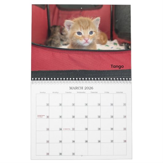 2026 Love & Hisses Calendar - The Tiny Dancers Kalender (Mar 2026)