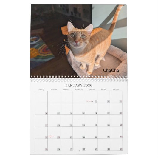 2026 Love & Hisses Calendar - The Tiny Dancers Kalender (Jan 2026)