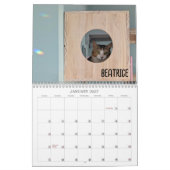 2026 Love & Hisses Kalender - de Britty Bunch (Jan 2027)