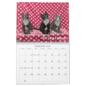 2026 Love & Hisses Kalender - de Foundlings (Feb 2027)