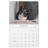 2026 Love & Hisses Kalender - de Foundlings (Jan 2027)