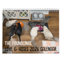 2026 Love & Hisses Kalender - de Foundlings
