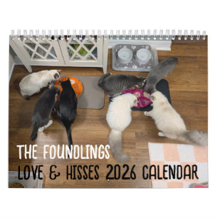 2026 Love & Hisses Kalender - de Foundlings