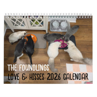 2026 Love & Hisses Kalender - de Foundlings