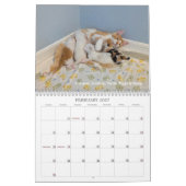 2026 Love & Hisses Kalender - de Pops (Feb 2027)