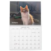 2026 Love & Hisses Kalender - de Pops (Jan 2027)