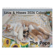 2026 Love & Hisses Kalender - de Pops