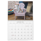 2026 Love & Hisses Kalender - de roze Adirondack (Jan 2027)