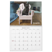 2026 Love & Hisses Kalender - de roze Adirondack (Mar 2027)