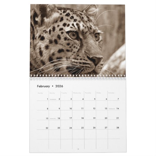 2026 Luipaard Kalender (Feb 2026)
