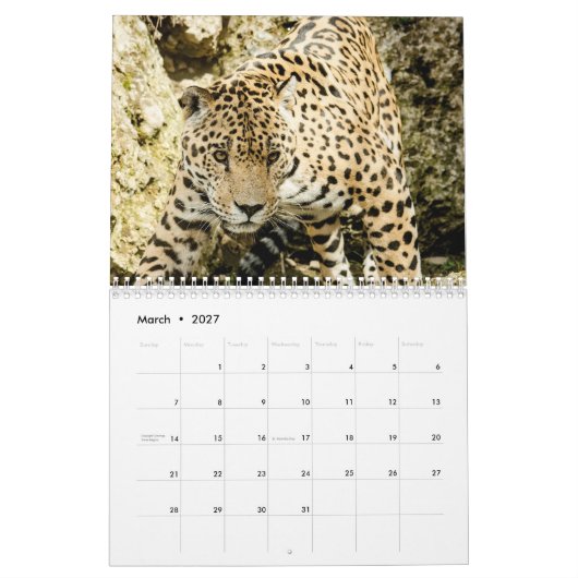 2026 Luipaard Kalender (Mar 2027)