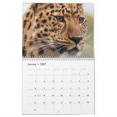 2026 Luipaard Kalender (Jan 2027)