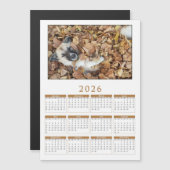 2026 magnetische kalender met Uw dieren (Voorkant / Achterkant)