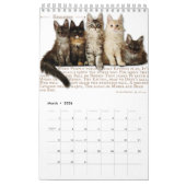 2026 Maine Coon Cat Calendar Kalender (Mar 2026)