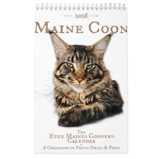 2026 Maine Coon Cat Calendar Kalender (Hoes)