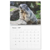 2026 Marmots Kalender (Feb 2027)