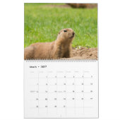2026 Marmots Kalender (Mar 2027)