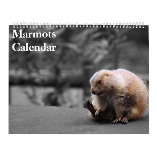 2026 Marmots Kalender (Hoes)
