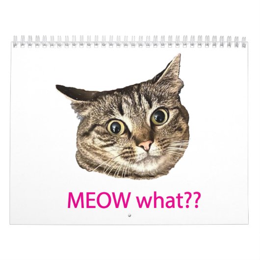 2026 MEOW what?? Calendar Kalender (Hoes)