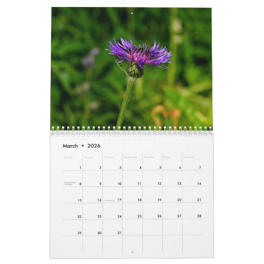 2026 Michigan Natuur & Landschap Kalender (Mar 2026)