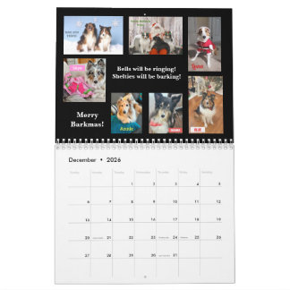 2026 Minnesota Sheltie Reddingskalender Kalender