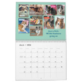 2026 Minnesota Sheltie Rescue Calendar Kalender (Mar 2026)