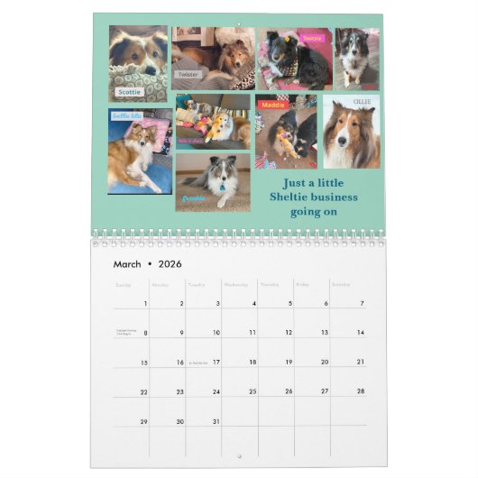 2026 Minnesota Sheltie Rescue Calendar Kalender (Mar 2026)