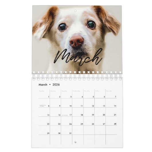 2026 Moderne familie fotokalender Kalender (Mar 2026)