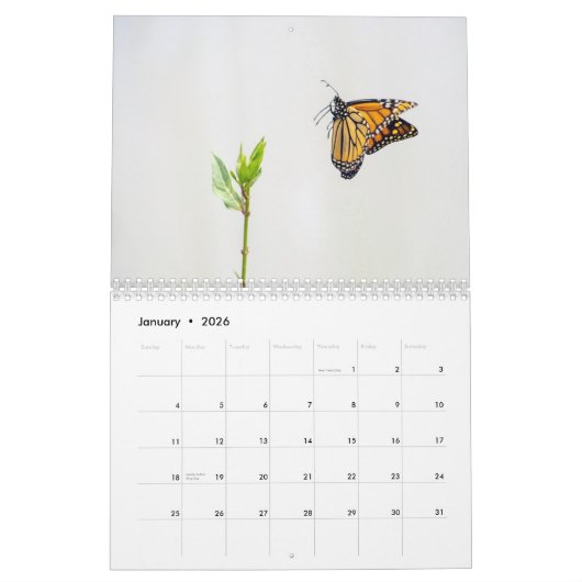 2026 Monarch Butterflies Calendar Kalender (Jan 2026)