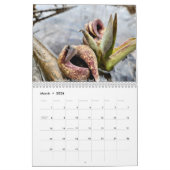 2026 (Mostly) Nature Calendar Kalender (Mar 2026)