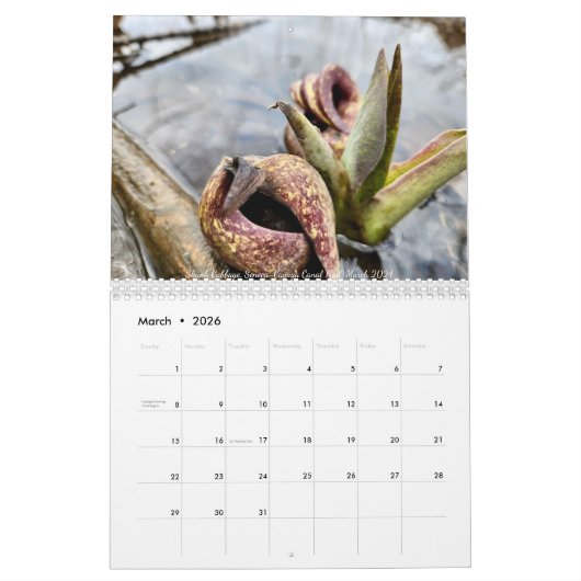 2026 (Mostly) Nature Calendar Kalender (Mar 2026)