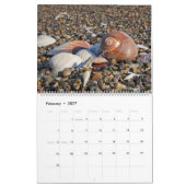 2026 Muurkalender Zeeschelpen Geschenk Kalender (Feb 2027)
