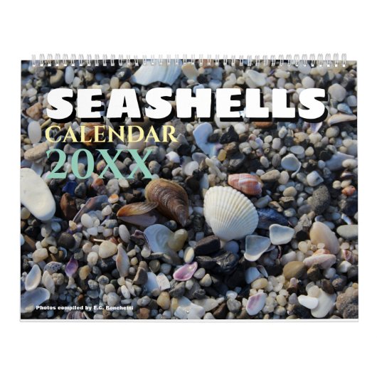 2026 Muurkalender Zeeschelpen Geschenk Kalender (Hoes)