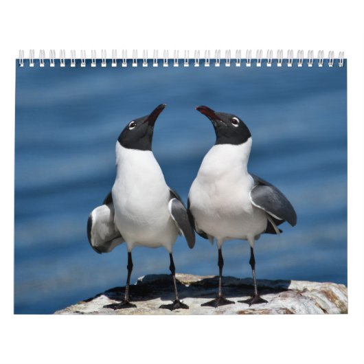 2026 Nature Calendar Kalender (Hoes)