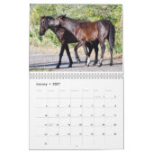 2026 Nature Calendar Kalender (Jan 2027)