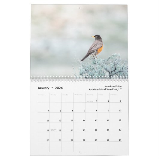 2026 Nature Photography Calendar Kalender (Jan 2026)