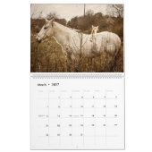 2026 Natuurfotografie & Kunstkalender Kalender (Mar 2027)