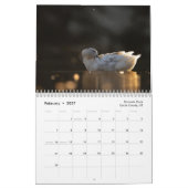 2026 Natuurfotokalender Kalender (Feb 2027)