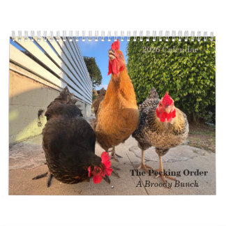 2026 Neighborhood Chicken Calendar Kalender