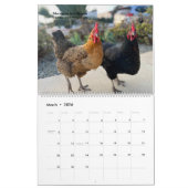 2026 Neighborhood Chicken Calendar - Large Kalender (Mar 2026)