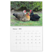 2026 Neighborhood Chicken Calendar - Large Kalender (Feb 2026)