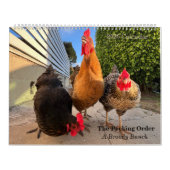 2026 Neighborhood Chicken Calendar - Large Kalender (Hoes)