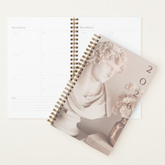 2026 Neutrale Esthetische Planner (Display)